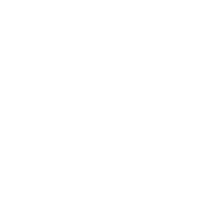 Logo BPI France