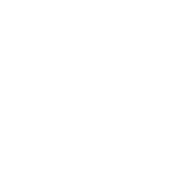 Logo CNRS