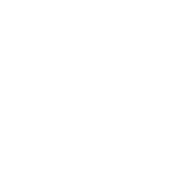 Logo Decathlon