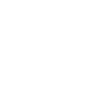 Logo Google